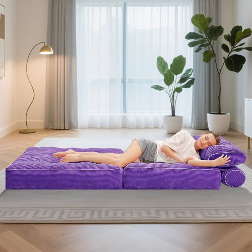 Folding Sofa Bed with Dual Pillow and Handle, Convertible Sleeper Chair, Black M821