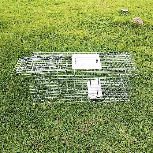 Collapsible 2-Door Live Animal Cage Trap for Small Rodents, Rabbits, Squirrels, and Raccoons J3445