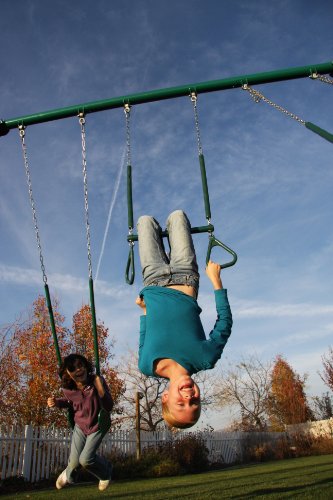 Heavy Duty A-Frame Metal Swing Set B978828