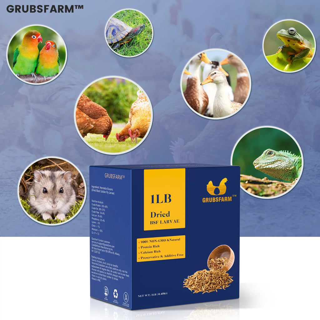 Chicken Treats for Hens, Ducks & Wild Birds, 5 lbs S22475