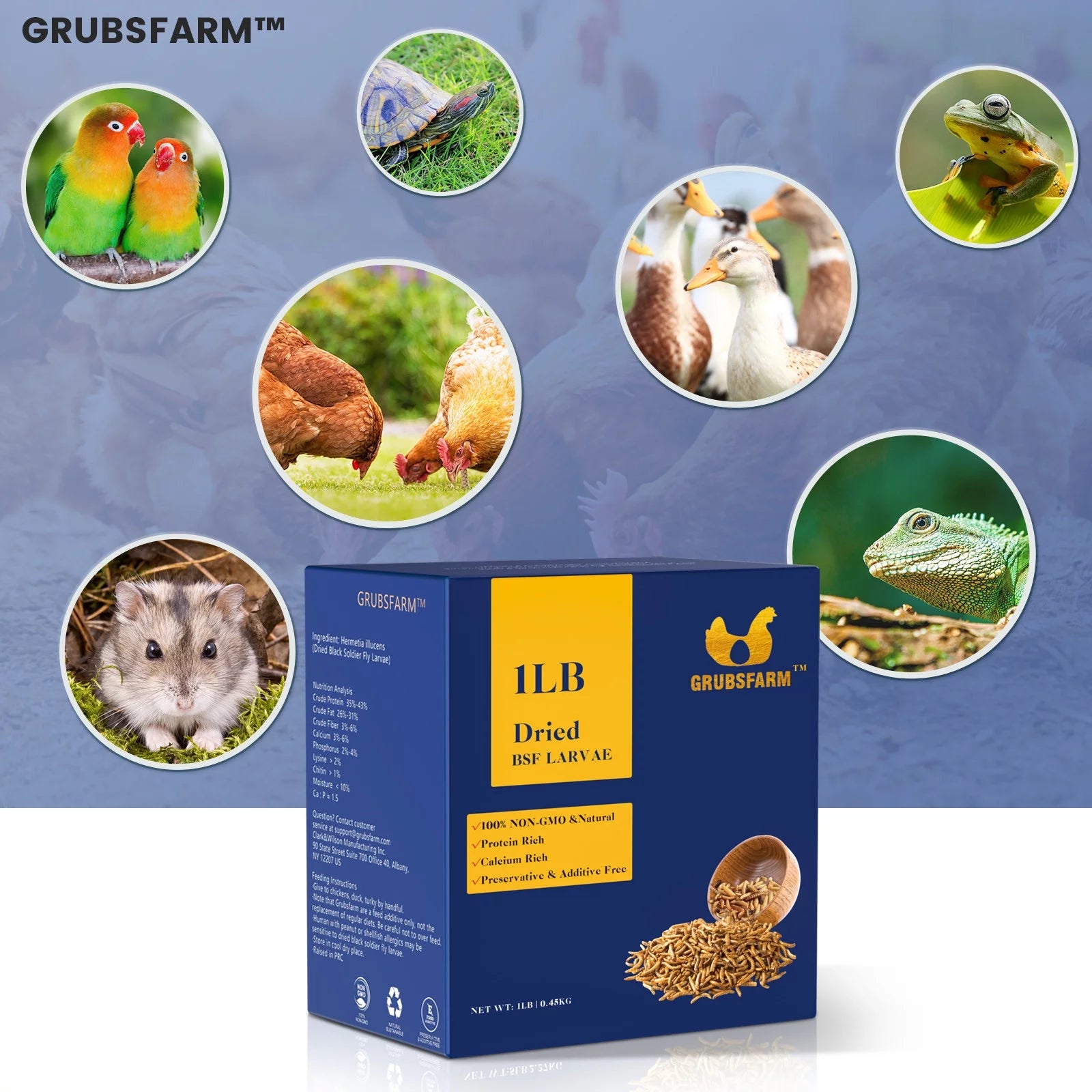 Chicken Treats for Hens, Ducks & Wild Birds, 5 lbs S22475