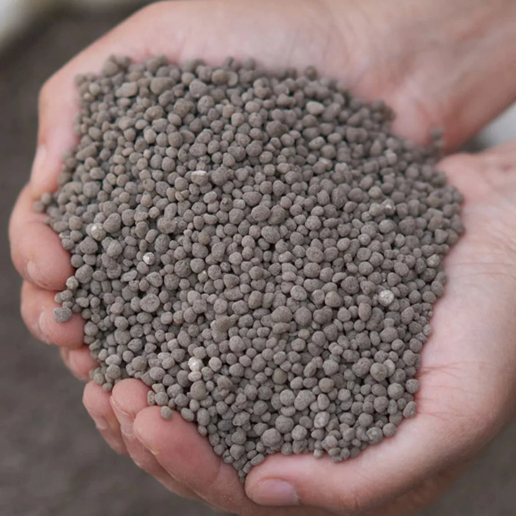Triple Super Phosphate Fertilizer B87746