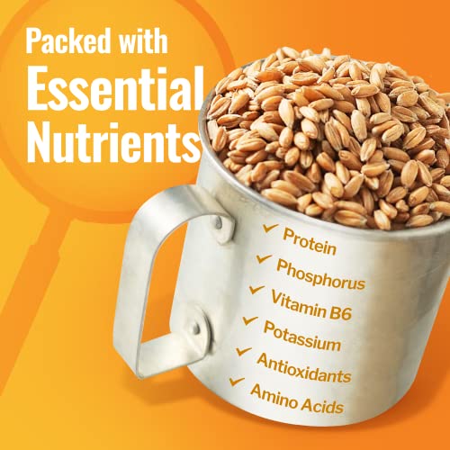 Organic Hard White Wheat Berries, 43 lbs Q419803