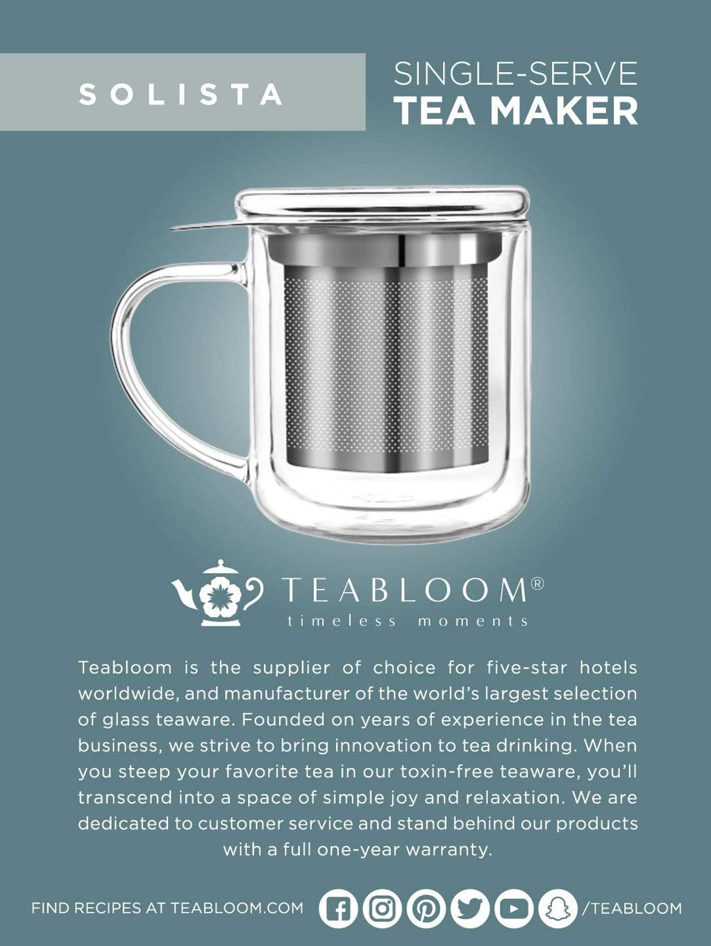 Insulated Glass Tea Mug with Loose Leaf Infuser and Lid L940599