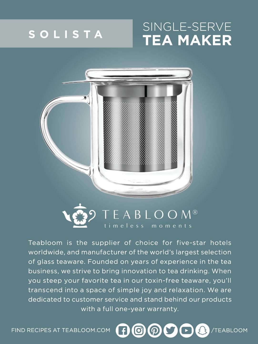 Insulated Glass Tea Mug with Loose Leaf Infuser and Lid L940599