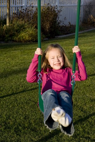 Heavy Duty A-Frame Metal Swing Set B978828