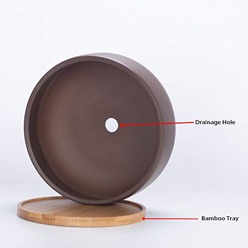 Terracotta Succulent Planter with Bamboo Tray, 8 Inch, Drainage Hole E726431