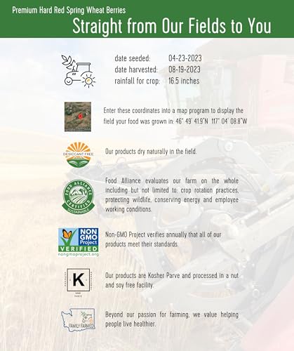 Hard Red Spring Wheat Berries, 25 lbs, Non-GMO, Kosher L4710