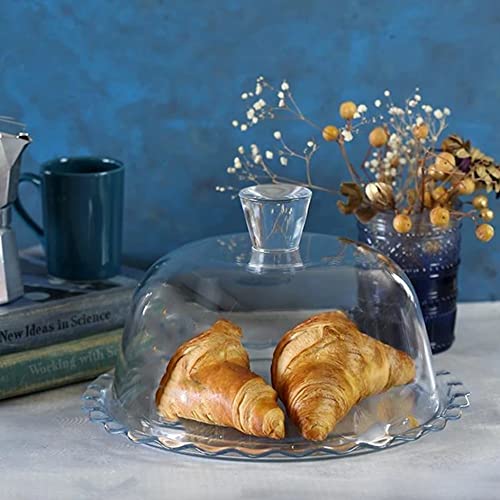 Glass Cake Stand with Dome, 10 Inch Serving Platter E2997