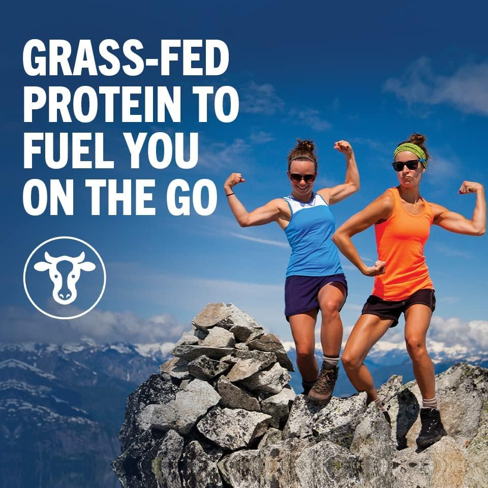 Protein Shake, Vanilla Bean, 20g Whey, 11 Fl Oz (Pack of 12) Y83753