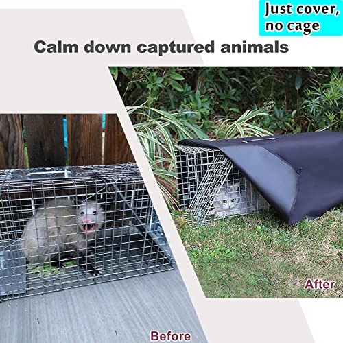 Live Animal Trap Cage with Cover, 32 Inch Heavy Duty Folding Trap for Raccoons, Opossums, Groundhogs, Feral Cats A171