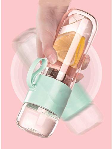 Double Wall Glass Tea Bottle with Infuser, Leak-Proof Travel Tumbler 14oz T8756