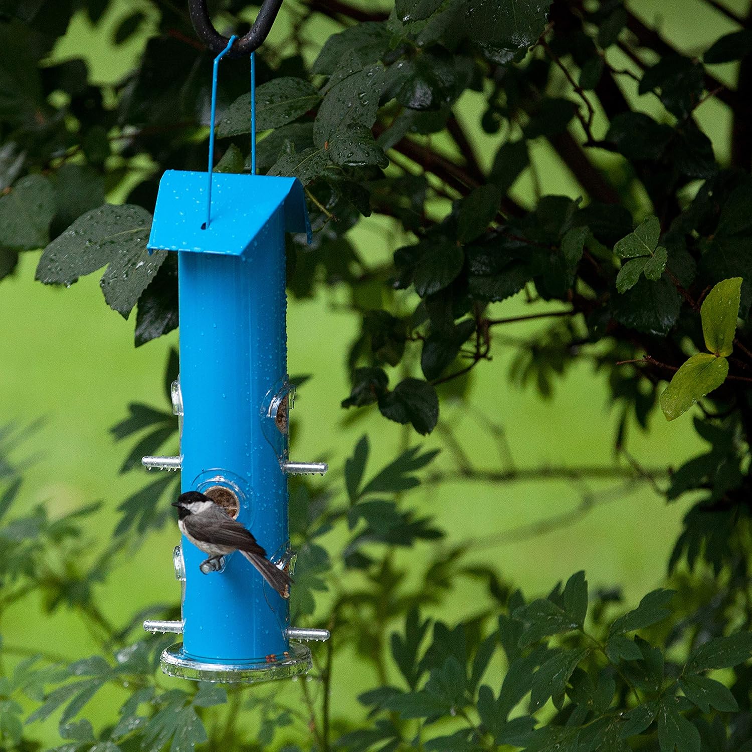 Metal Tube Wild Bird Feeder, 1 Lb, Blue W422556
