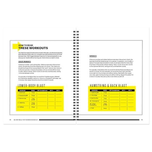 28-Day Belly Fat Burner Workout Planner F467