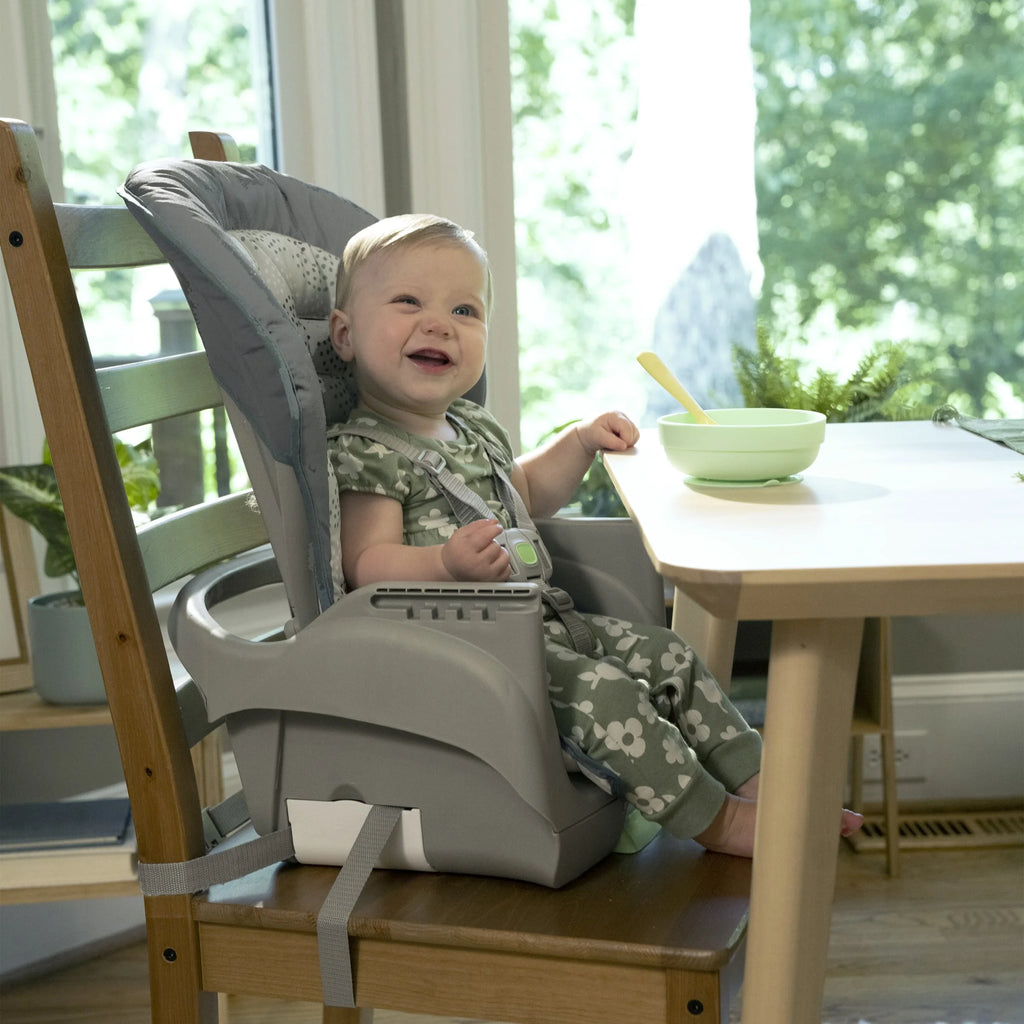 6-in-1 High Chair for Toddlers, Up to 5 Years V110399