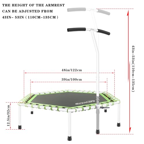 Fitness Trampoline with Adjustable Handle Bar, Bungee Rebounder for Adults W331187