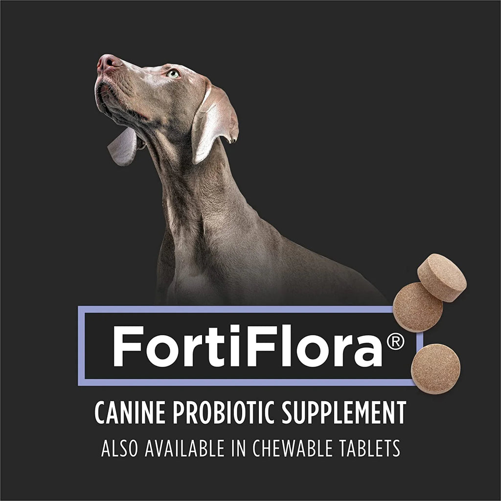 Probiotic Supplement for Dogs, 30 Count Box C3866