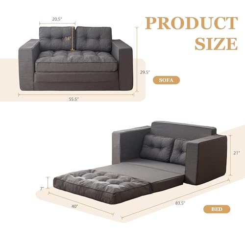 Loveseat Sleeper Sofa Convertible Sofa Bed Couch with Reclining Backrest and Pillows A86014