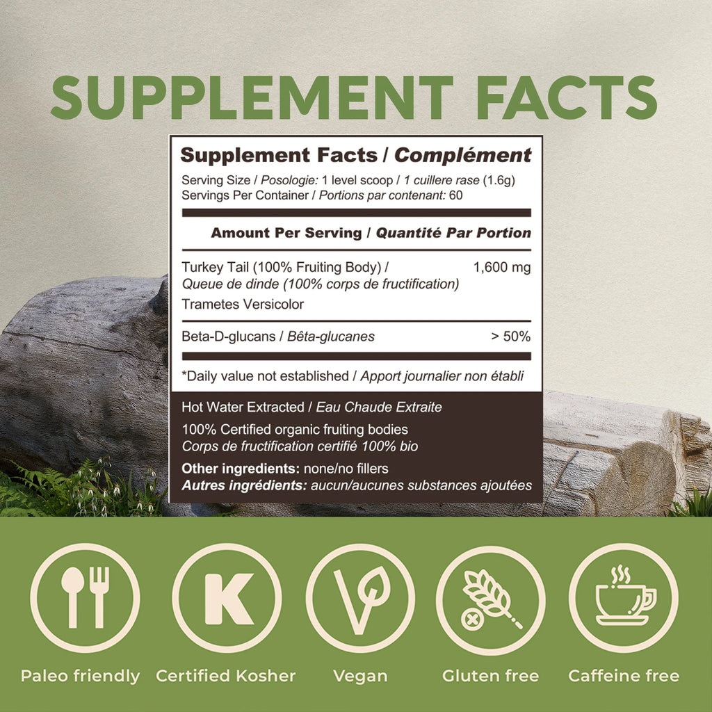 Organic Turkey Tail Mushroom Supplement Powder L73013