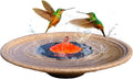 Solar Bubbler Fountain for Hummingbirds, Small Birds, Bird Bath Fountain, Red Dome to Attract Hummingbirds for Garden, Yard, Patio, Outdoors…