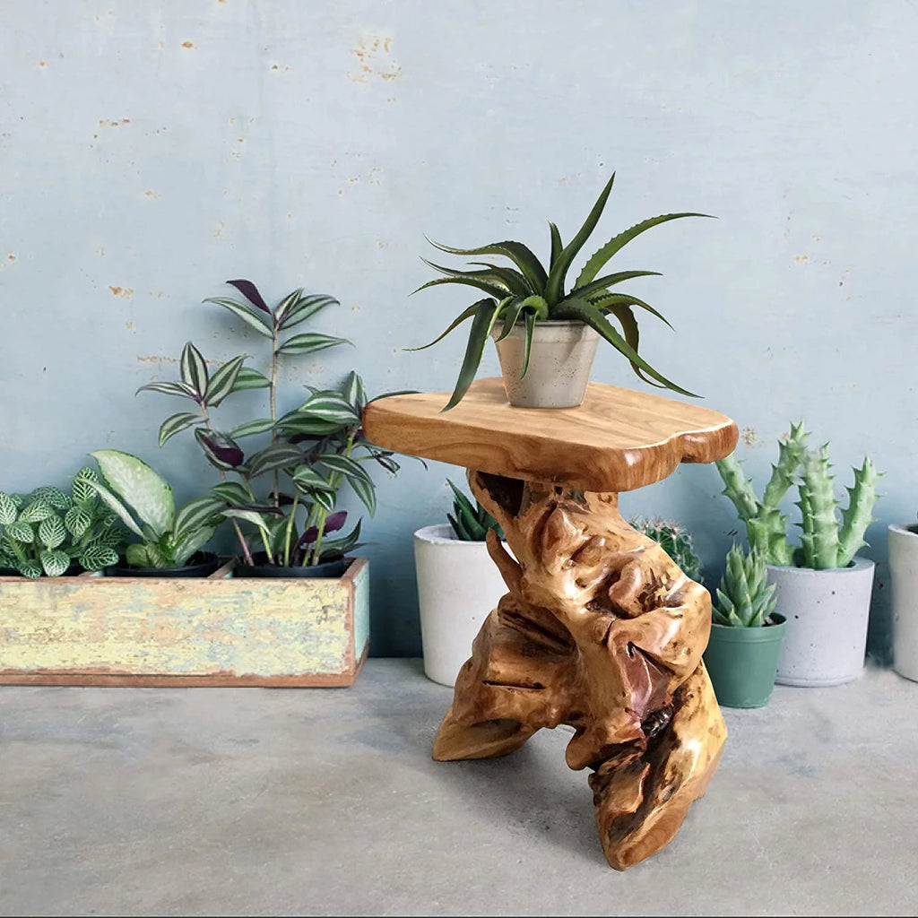 Irregular Tree Stump End Table Plant Stand Solid Cedar Wood K73661