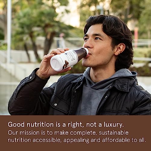 Gingerbread Meal Replacement Shake, Plant Based Protein Drink, 11oz (12 Pack) B2352