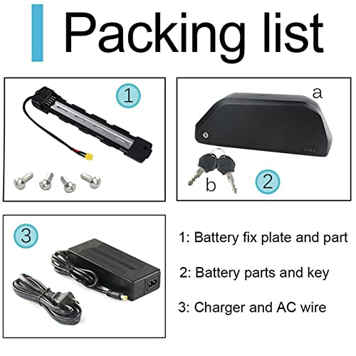 52V 19.2Ah Ebike Battery with Charger and USB Port G4921