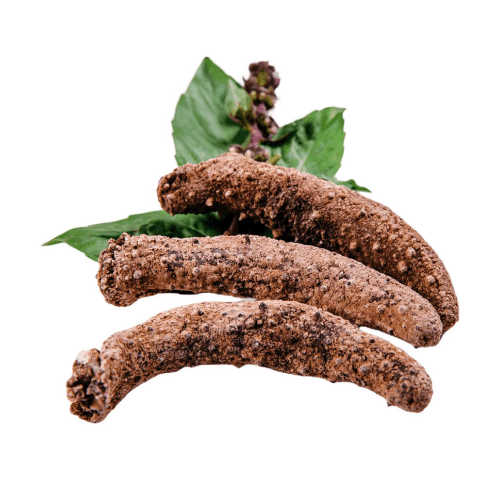 Dried Wild Caught Sea Cucumber Medium Size 4oz T84650