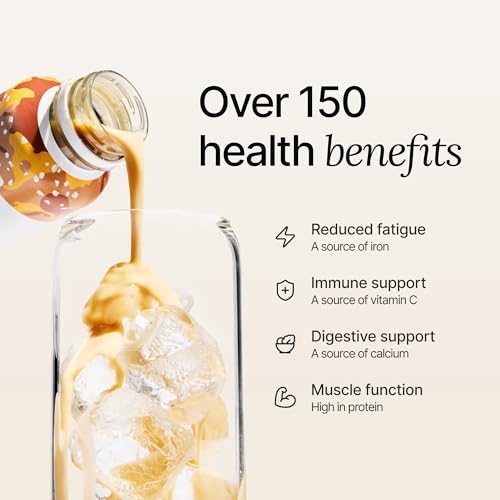 Chocolate Meal Replacement Drink, High Protein, Plant Based, 16.9 Fl Oz (12 Pack) T510
