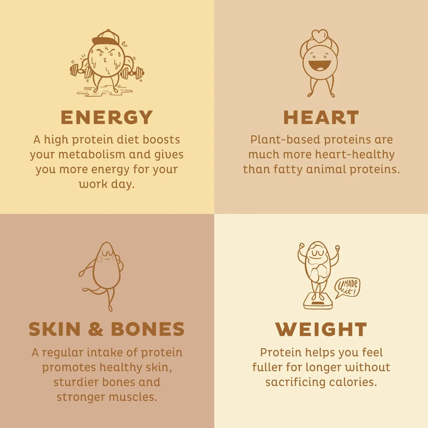 Vanilla Organic Vegan Protein Powder, Plant Based, Dairy Free X17478
