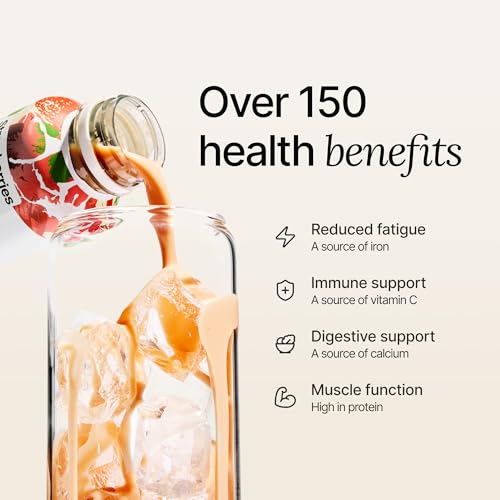 Chocolate Meal Replacement Drink, High Protein, Plant Based, 16.9 Fl Oz (12 Pack) T510