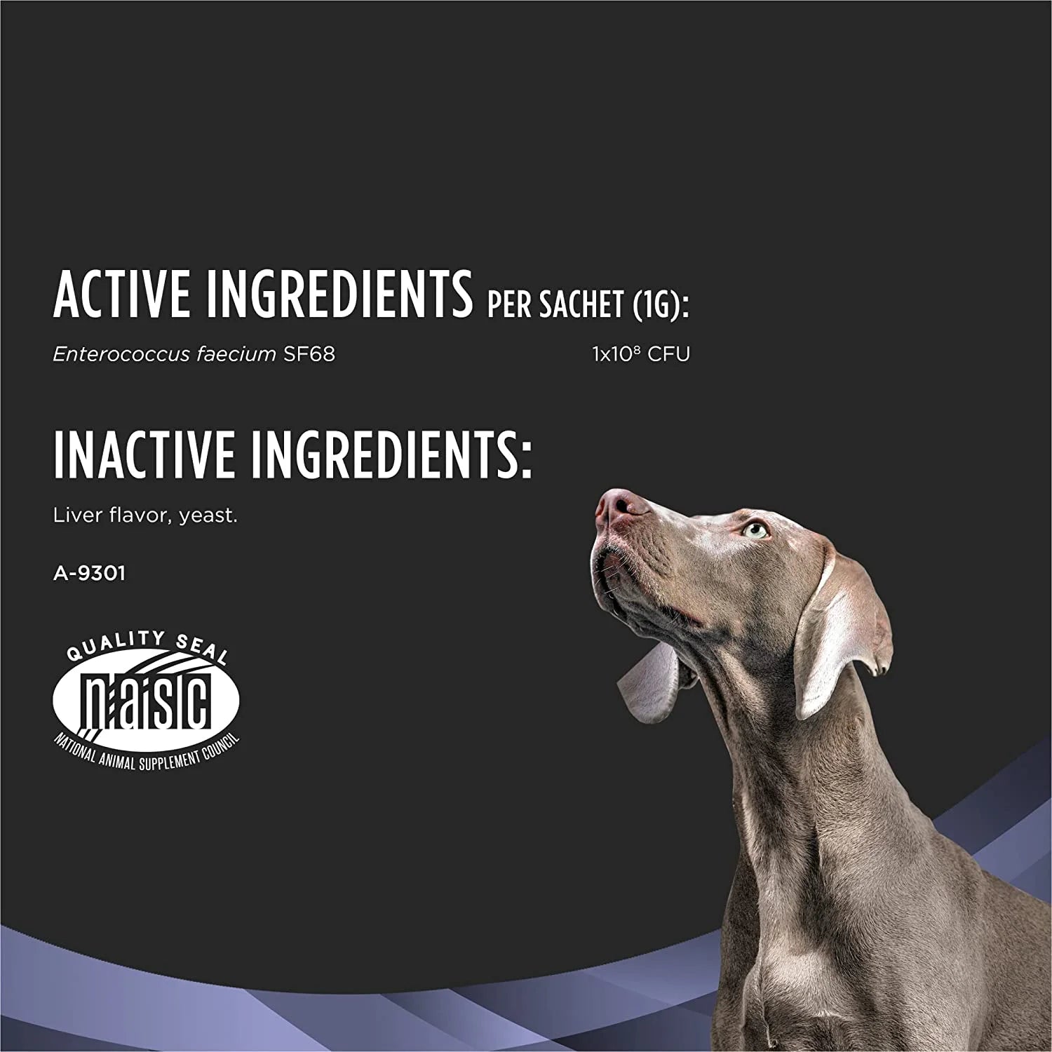Probiotic Supplement for Dogs, 30 Count Box C3866