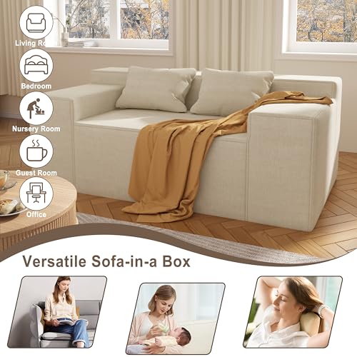 Small Sofa Loveseat with 2 Pillows, Cat-Scratch Resistant Linen, Grey K916760