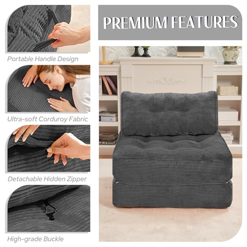 Folding Sofa Bed with Dual Pillow and Handle, Convertible Sleeper Chair, Black M821