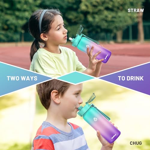 32oz Insulated Stainless Steel Water Bottle with Straw and Spout Lid P793
