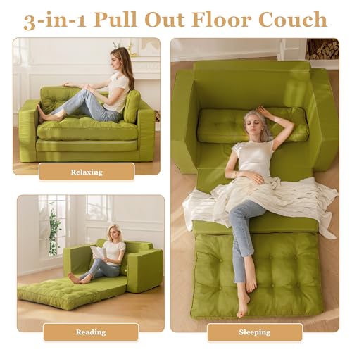 Loveseat Sleeper Sofa Convertible Sofa Bed Couch with Reclining Backrest and Pillows A86014