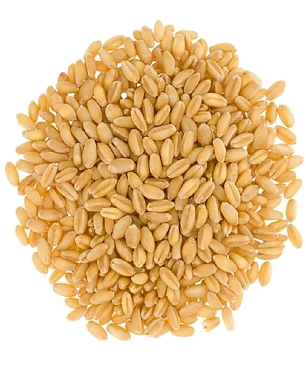 Hard White Wheat Berries, 3-4 LB Kraft Bags, Sproutable, Non-GMO B20751