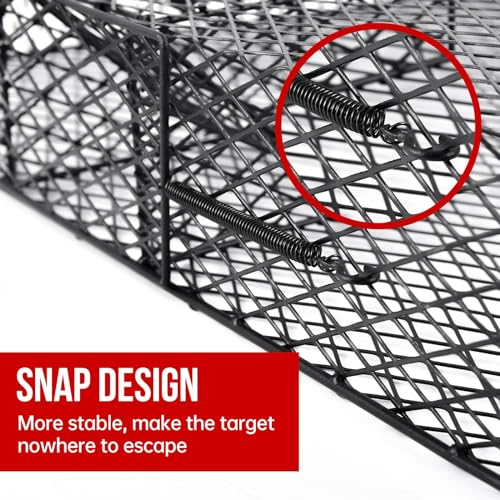 Squirrel Trap No Bottom Tray, Metal, 2 Pack W59918