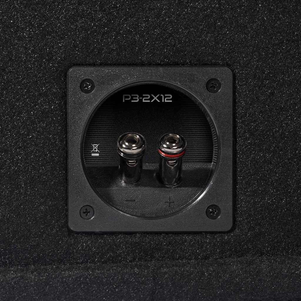 Ported Dual 12" Subwoofer Enclosure Y268670
