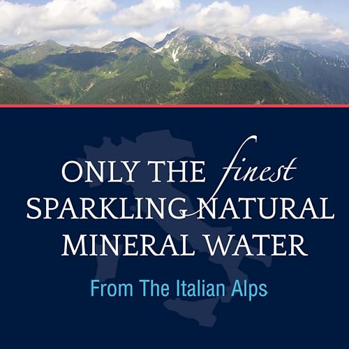 Sparkling Natural Mineral Water, 16.9 Fl Oz, Pack of 12 H722