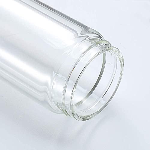 Double Wall Glass Tea Bottle with Infuser, Leak-Proof Travel Tumbler 14oz T8756