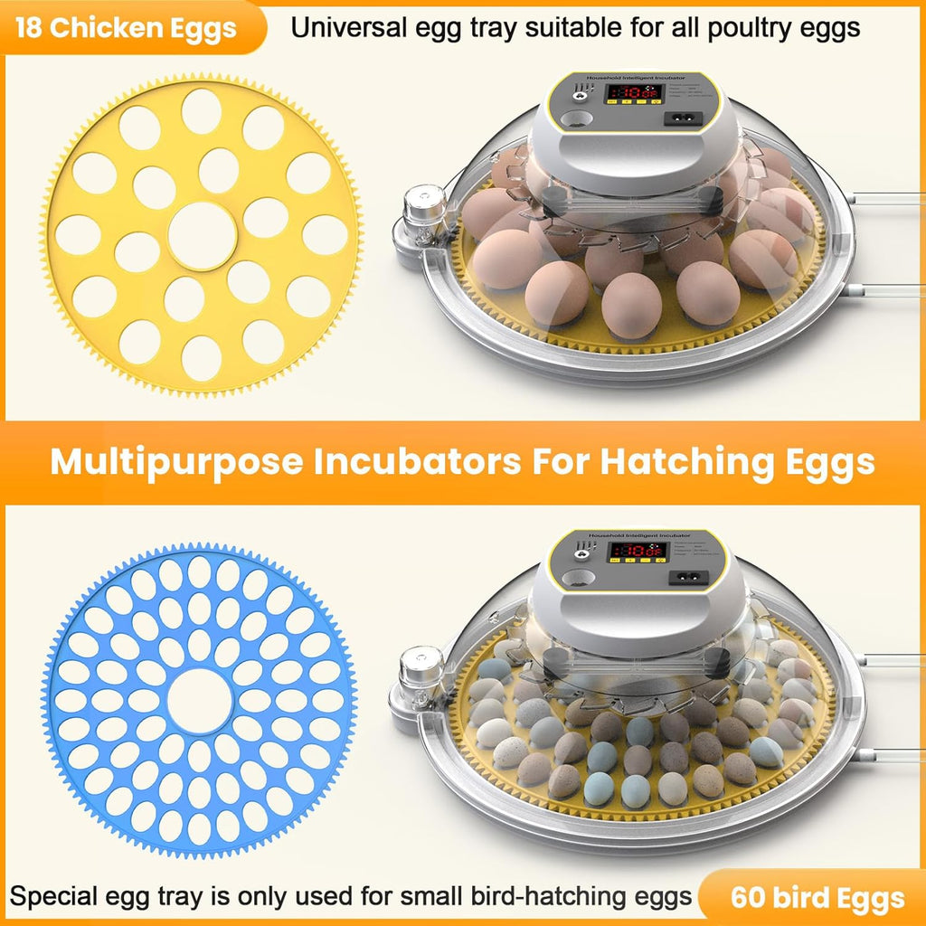 Egg Incubator with Automatic Turning and Water Adding, 18-60 Eggs C20210