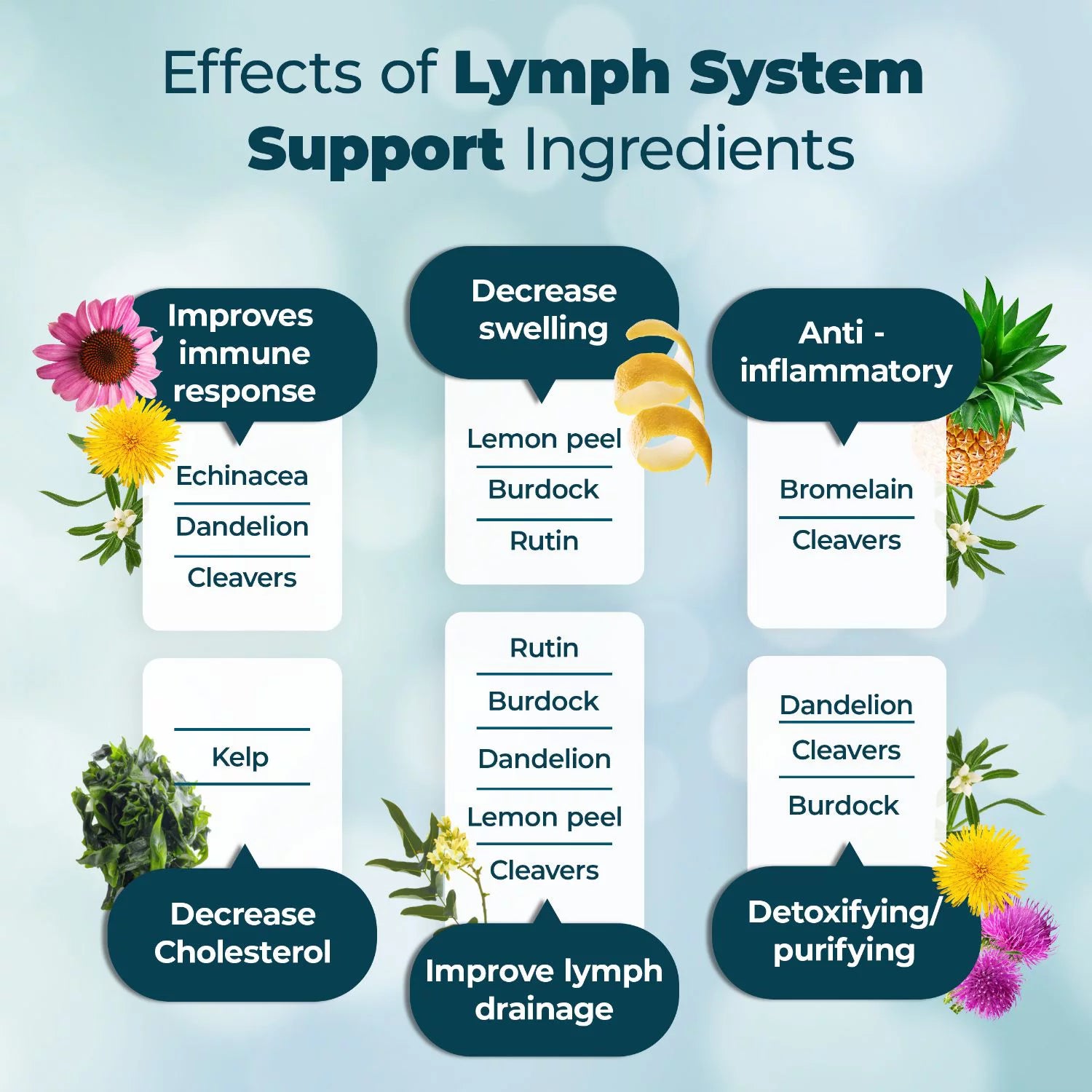 Lymphatic Supplement to Reduce Swelling P66997