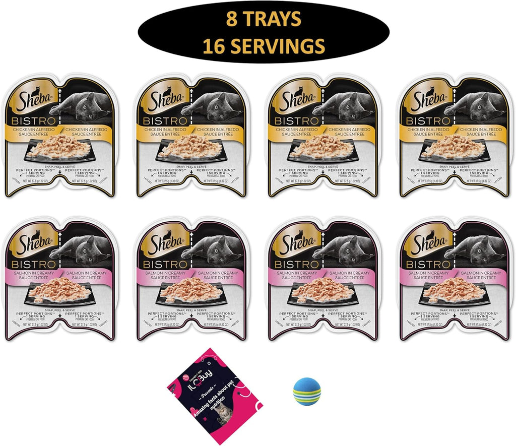 Wet Cat Food Variety Pack with Salmon and Chicken, 8 Trays O164235