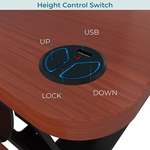 Electric Standing Desk Converter, Height Adjustable Sit to Stand Riser, Dual Monitor Workstation, Black Z74939