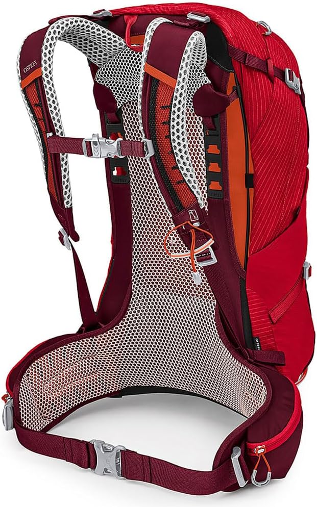 Men's Hiking Backpack, 24L J778