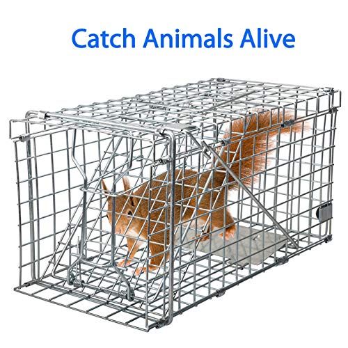 Heavy Duty Live Animal Trap for Squirrels and Small Rabbits U9278