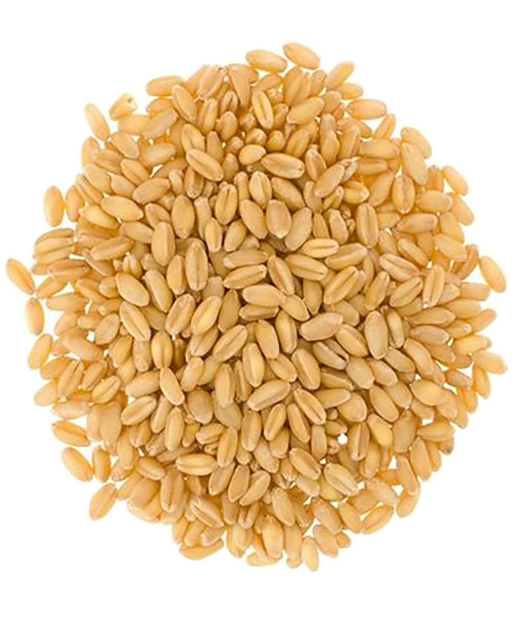 Soft White Wheat Berries 25 lbs Bulk J62368