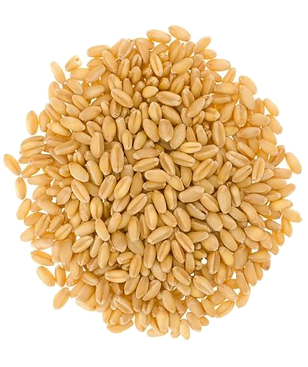 Soft White Wheat Berries 25 lbs Bulk J62368