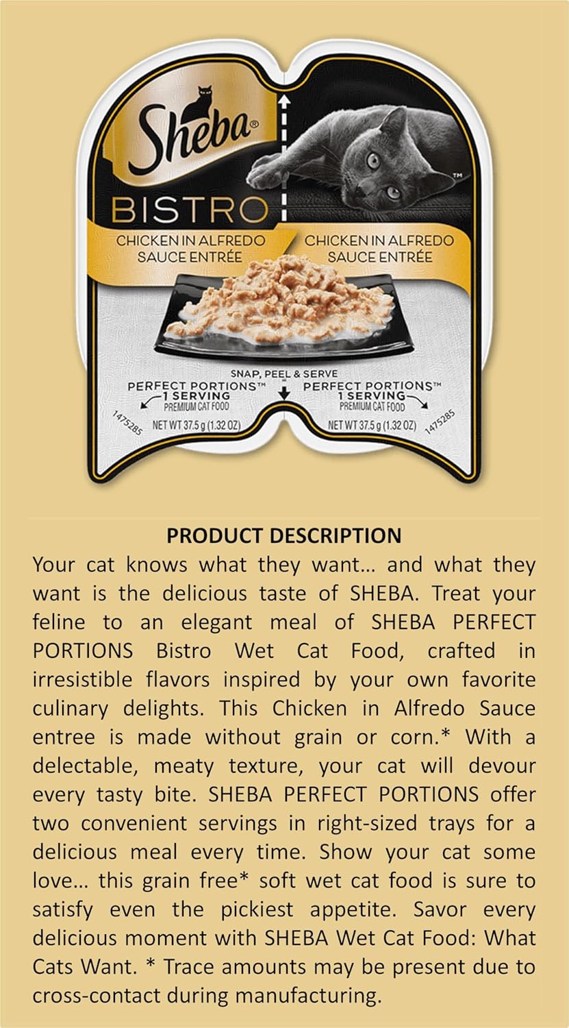 Wet Cat Food Variety Pack with Salmon and Chicken, 8 Trays O164235